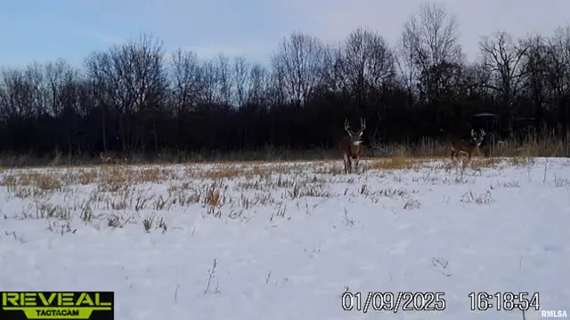 $695,000 | 0 East 500 East Road, Oconee, IL 62553