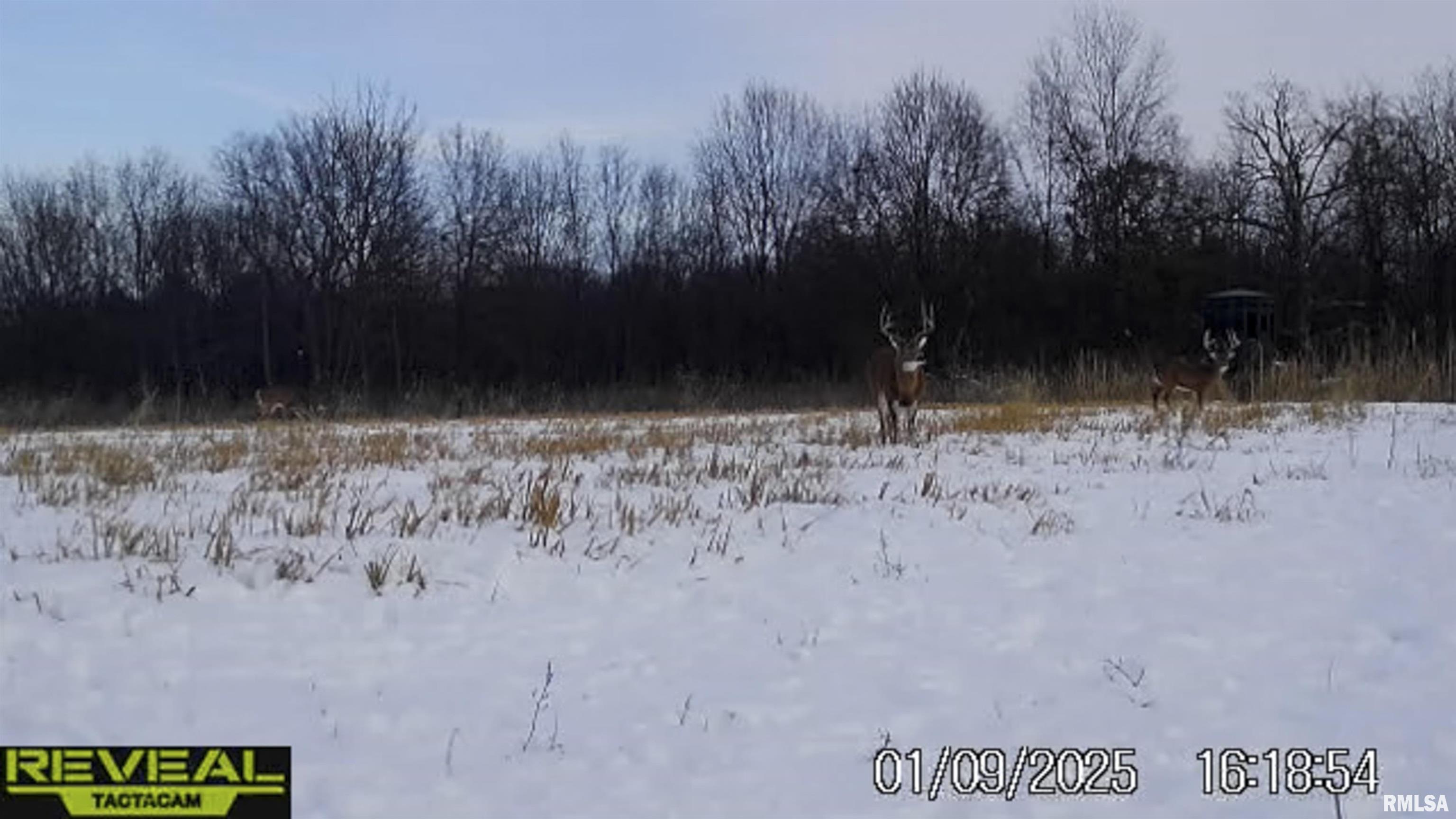 0 East 500 East Road Oconee, IL 62553 - Photo 62 of 75