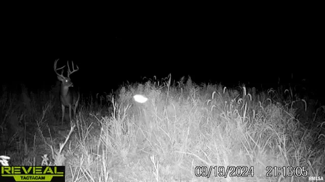 $695,000 | 0 East 500 East Road, Oconee, IL 62553