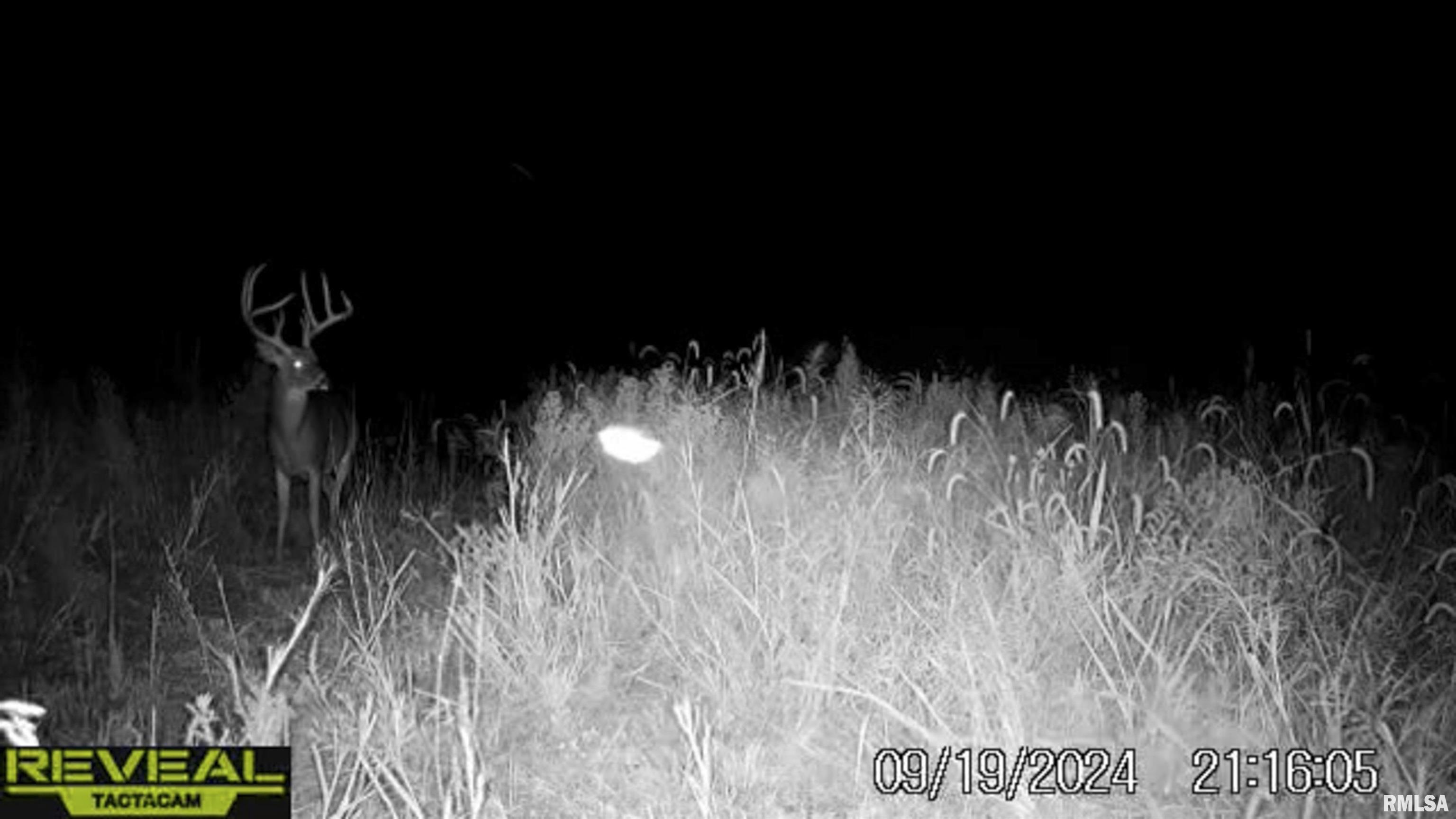 0 East 500 East Road Oconee, IL 62553 - Photo 63 of 75