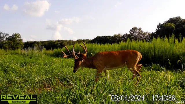 $695,000 | 0 East 500 East Road, Oconee, IL 62553