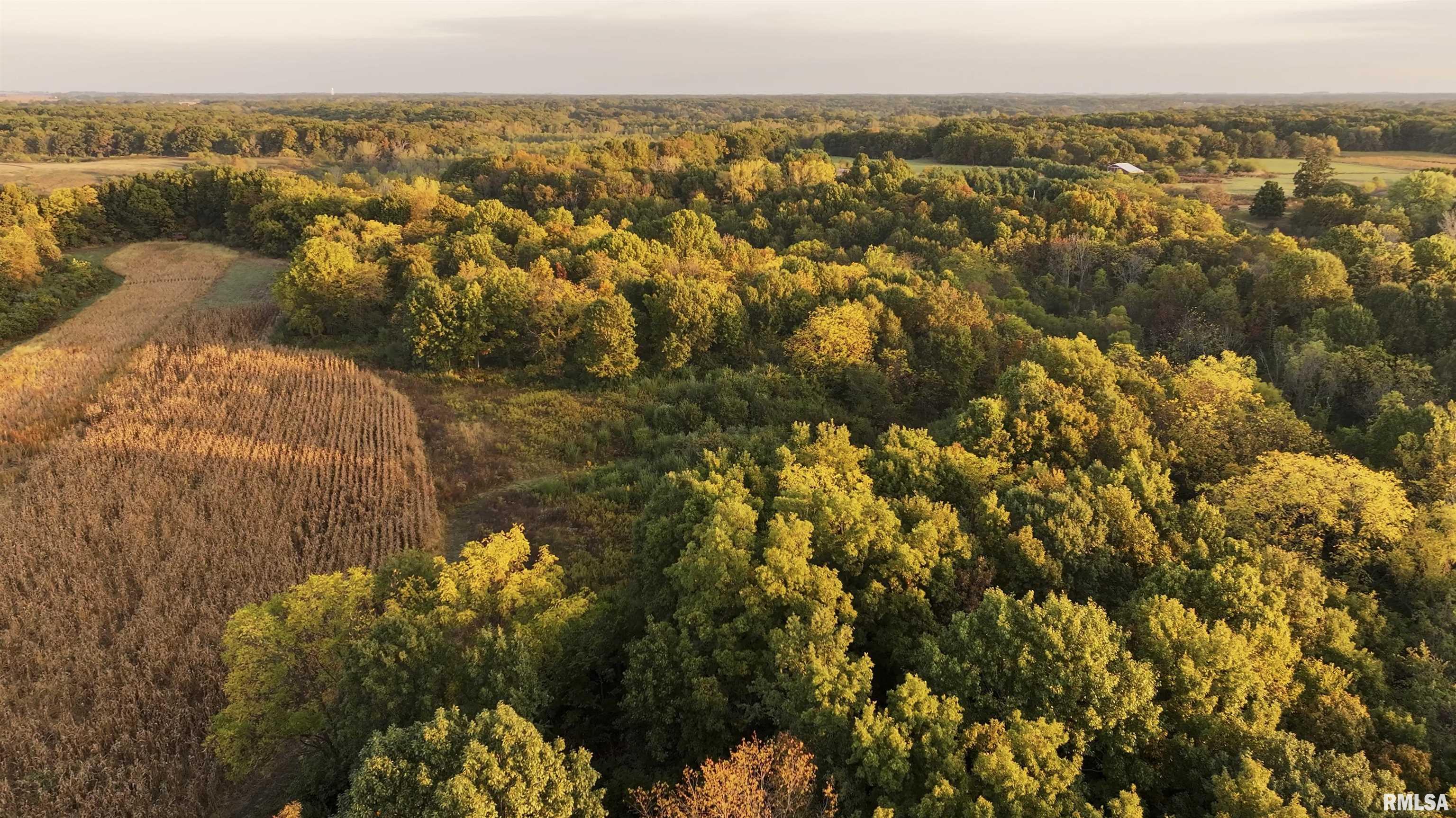 0 East 500 East Road Oconee, IL 62553 - Photo 65 of 75