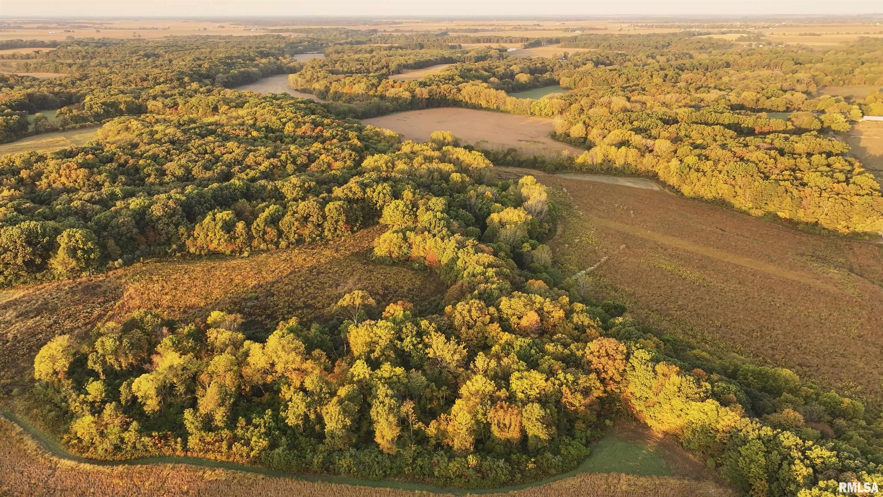 0 East 500 East Road Oconee, IL 62553 - Photo 66 of 75