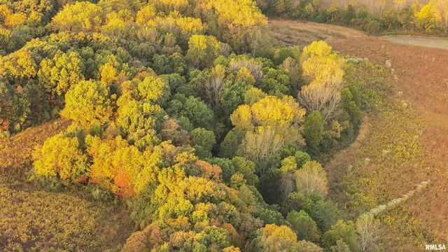 $695,000 | 0 East 500 East Road, Oconee, IL 62553