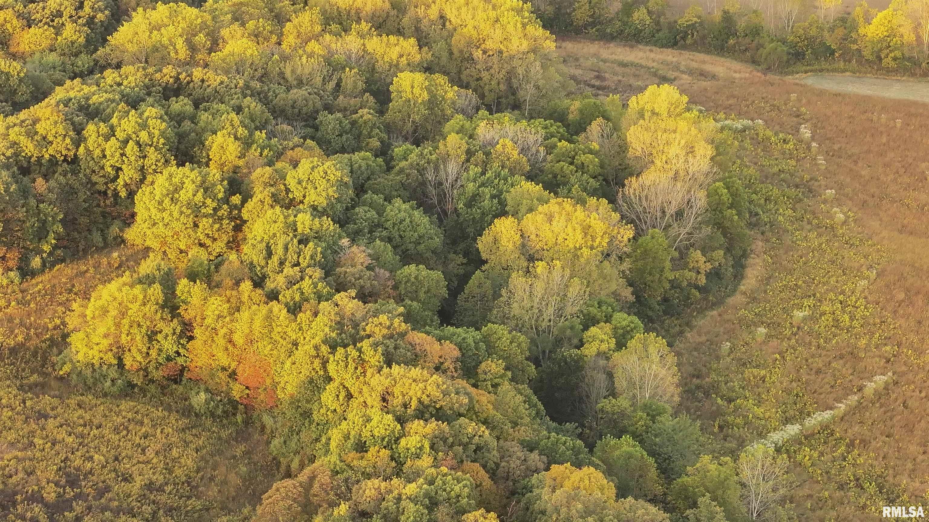 0 East 500 East Road Oconee, IL 62553 - Photo 67 of 75