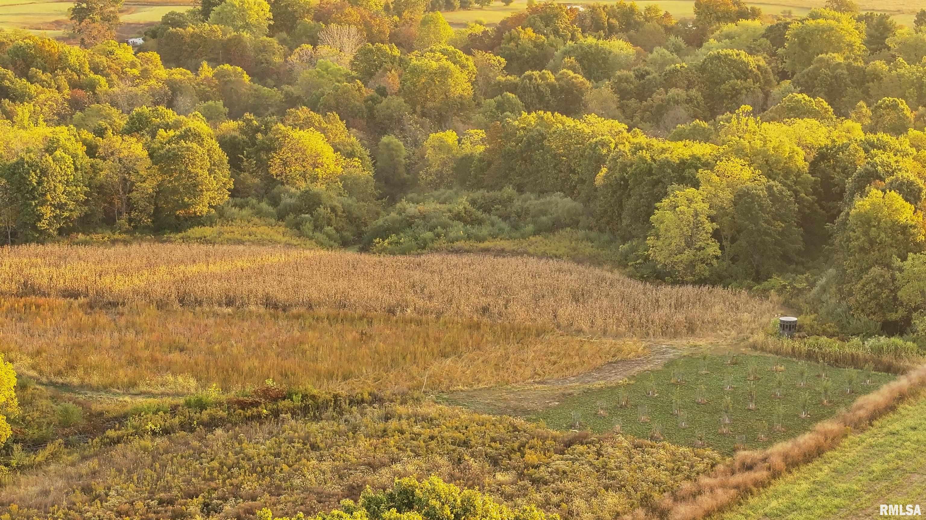 0 East 500 East Road Oconee, IL 62553 - Photo 68 of 75