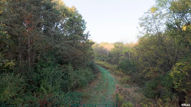 $695,000 | 0 East 500 East Road, Oconee, IL 62553