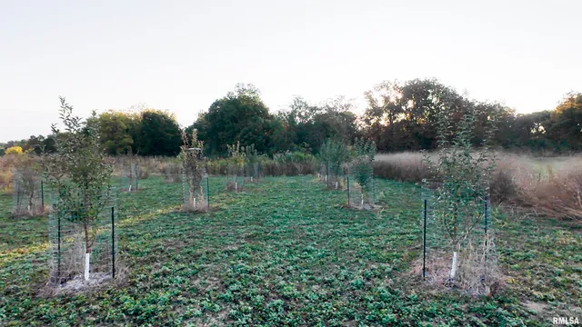 $695,000 | 0 East 500 East Road, Oconee, IL 62553