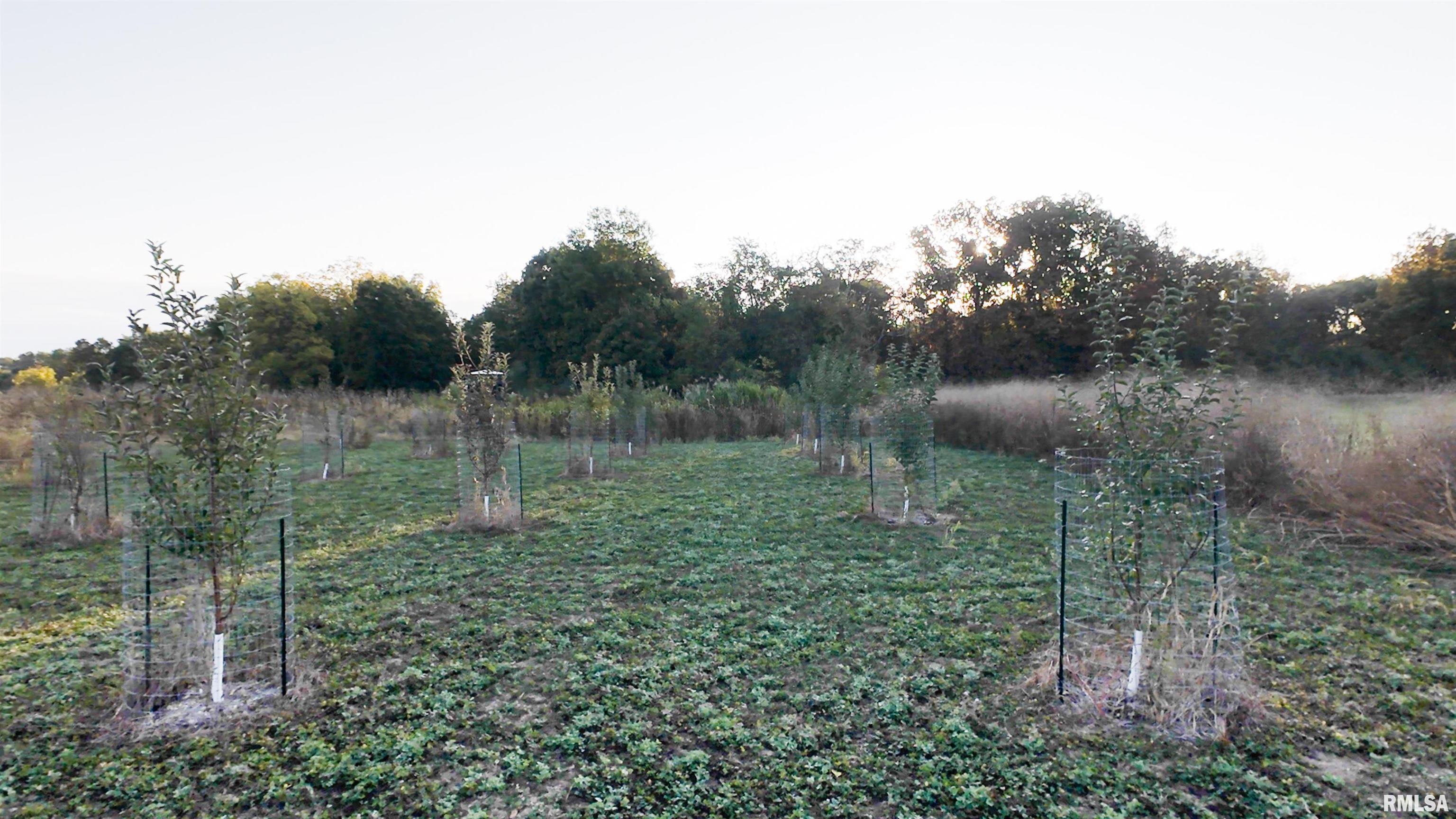 0 East 500 East Road Oconee, IL 62553 - Photo 71 of 75