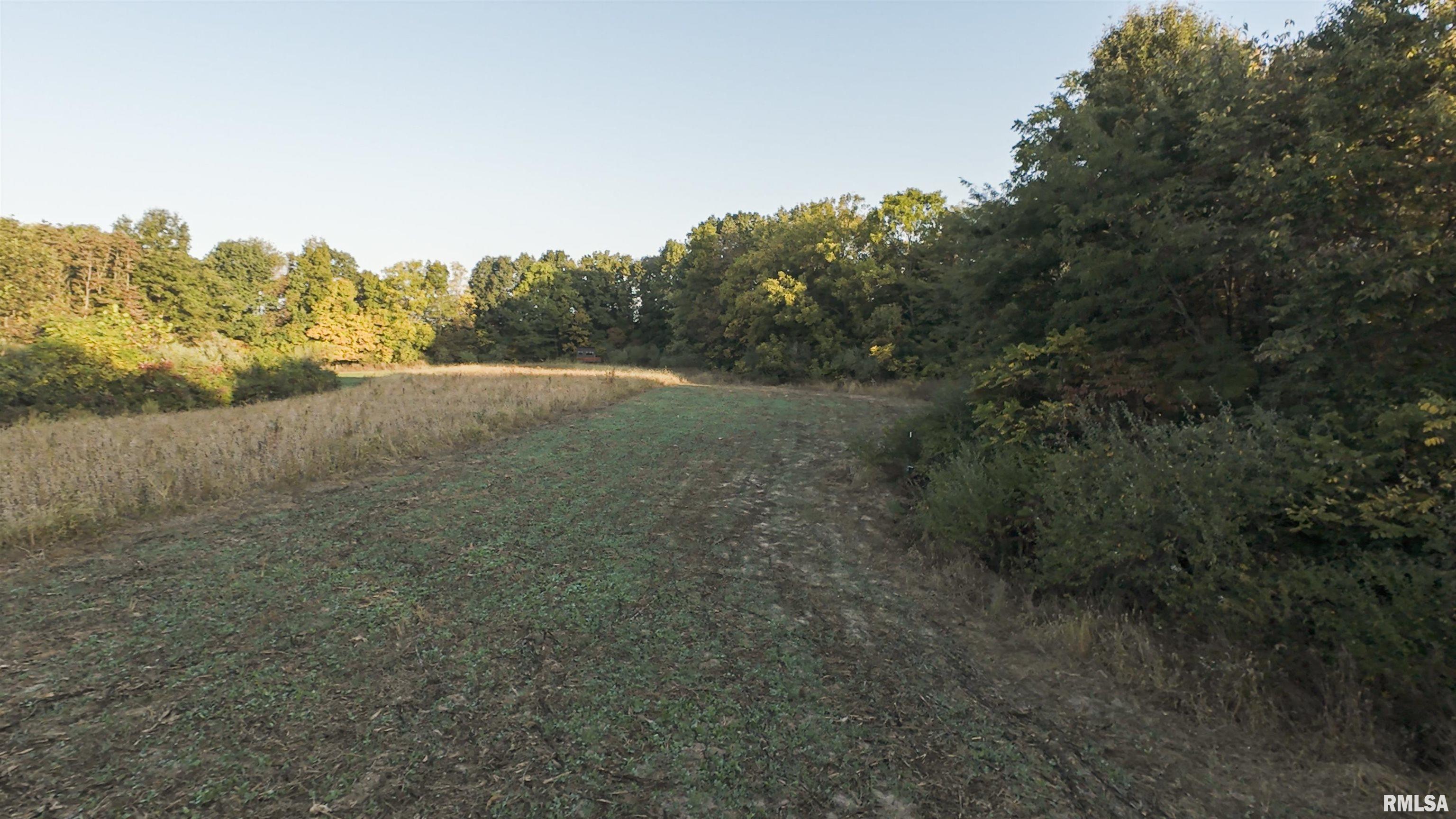 0 East 500 East Road Oconee, IL 62553 - Photo 73 of 75