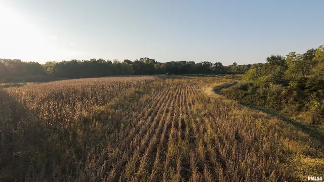 $695,000 | 0 East 500 East Road, Oconee, IL 62553