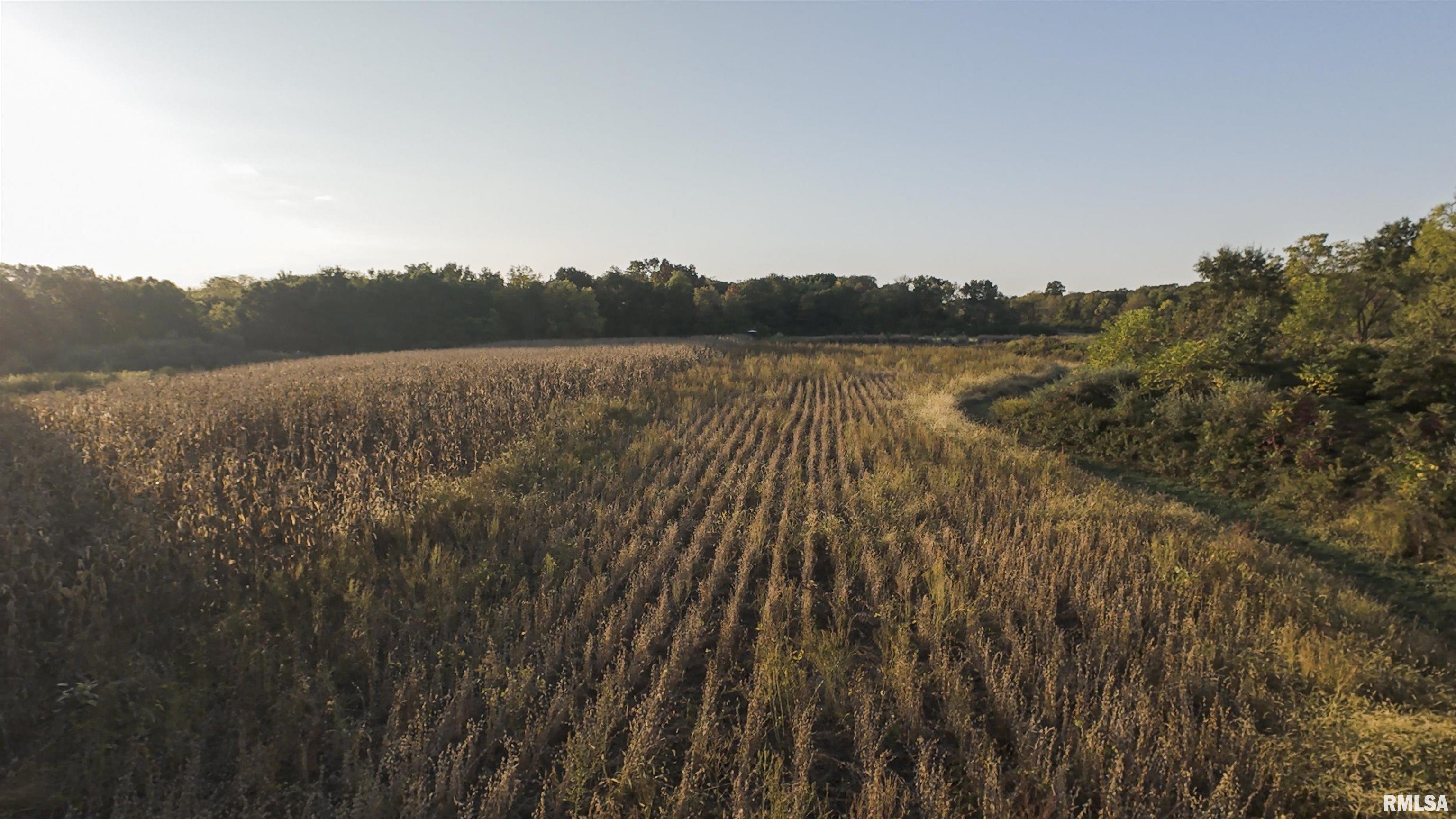 0 East 500 East Road Oconee, IL 62553 - Photo 74 of 75