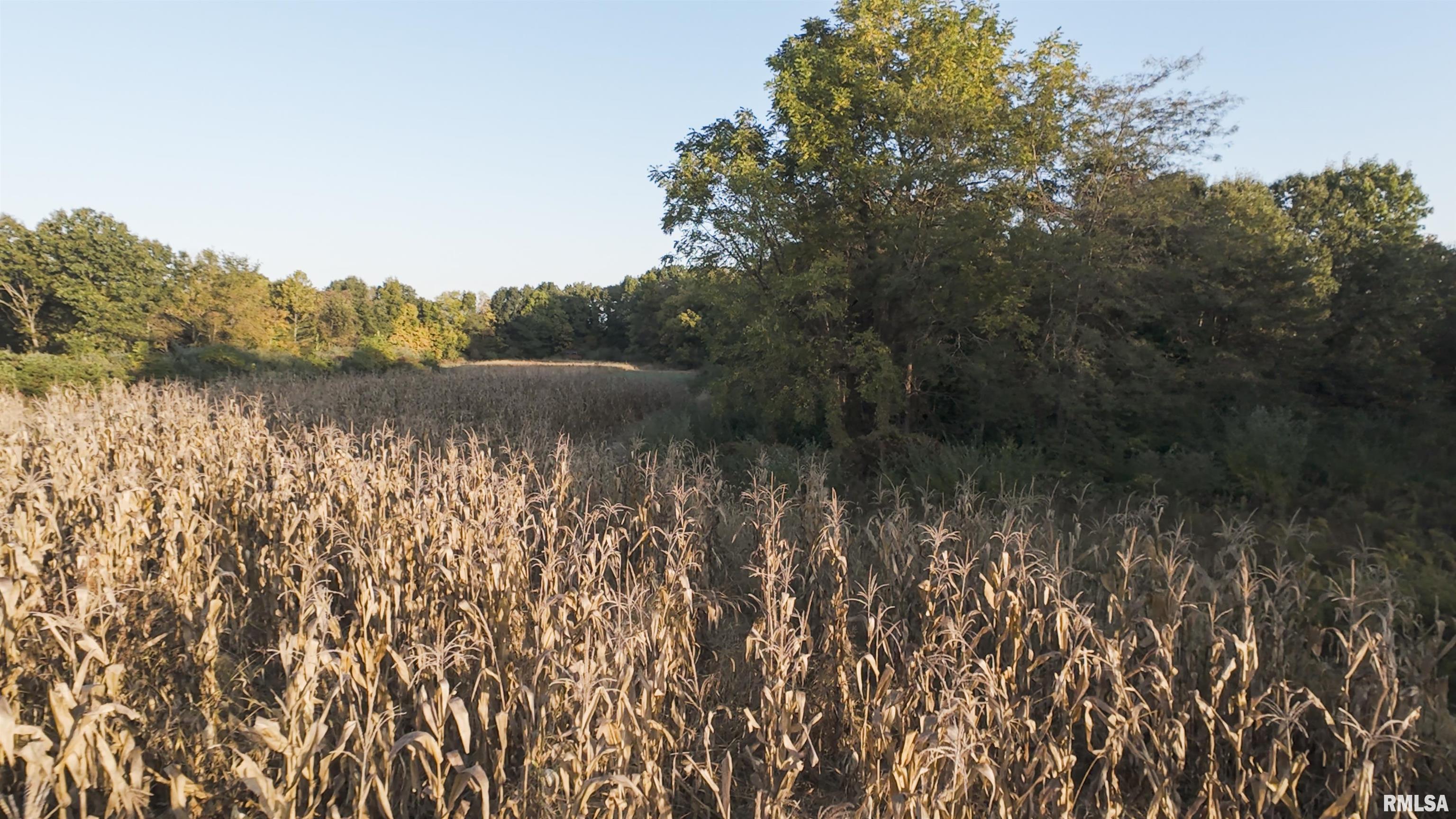 0 East 500 East Road Oconee, IL 62553 - Photo 10 of 75