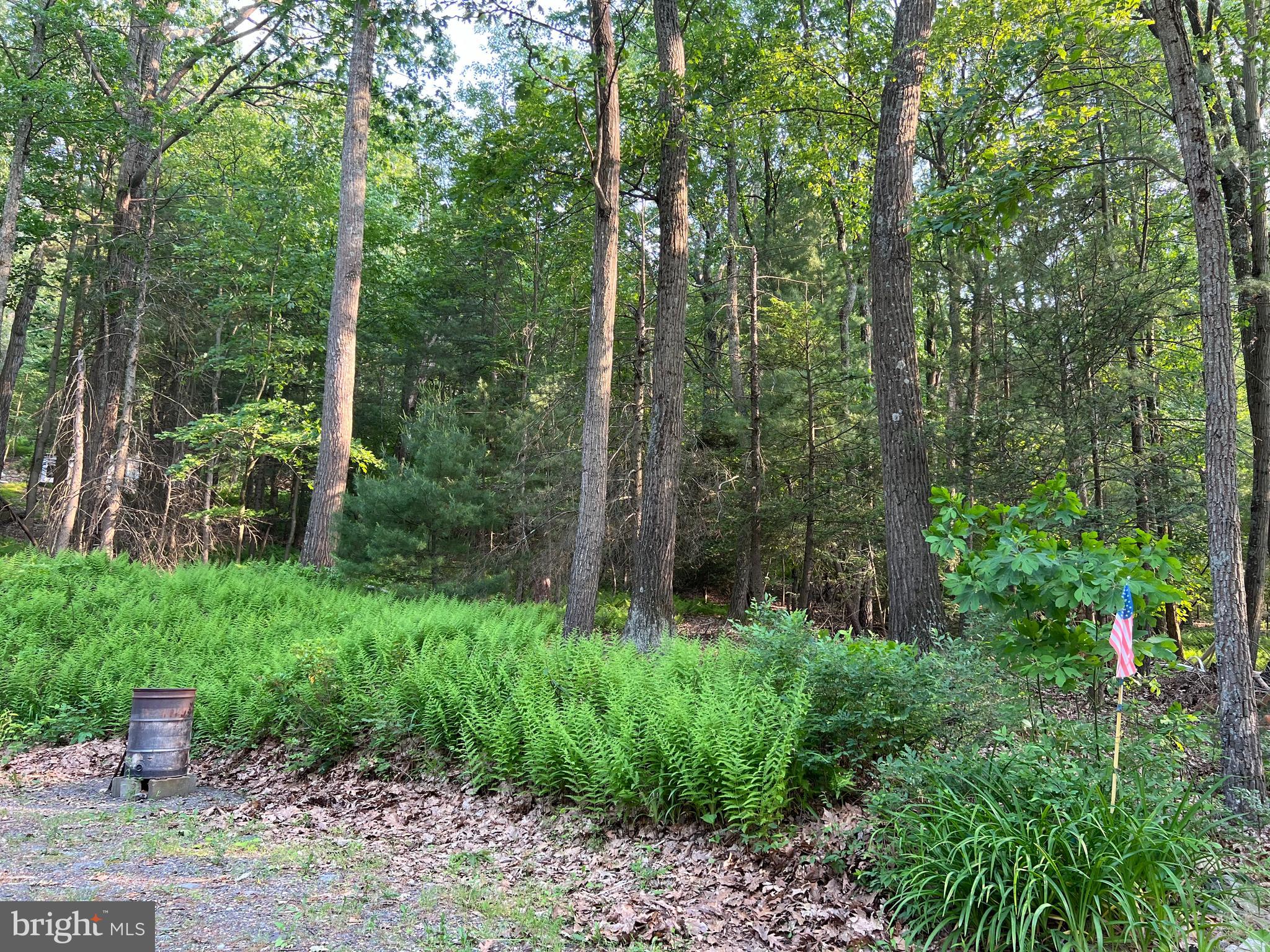 85 Wagner Road Fayetteville, PA 17222 - Photo 5 of 16 Additional lot behind