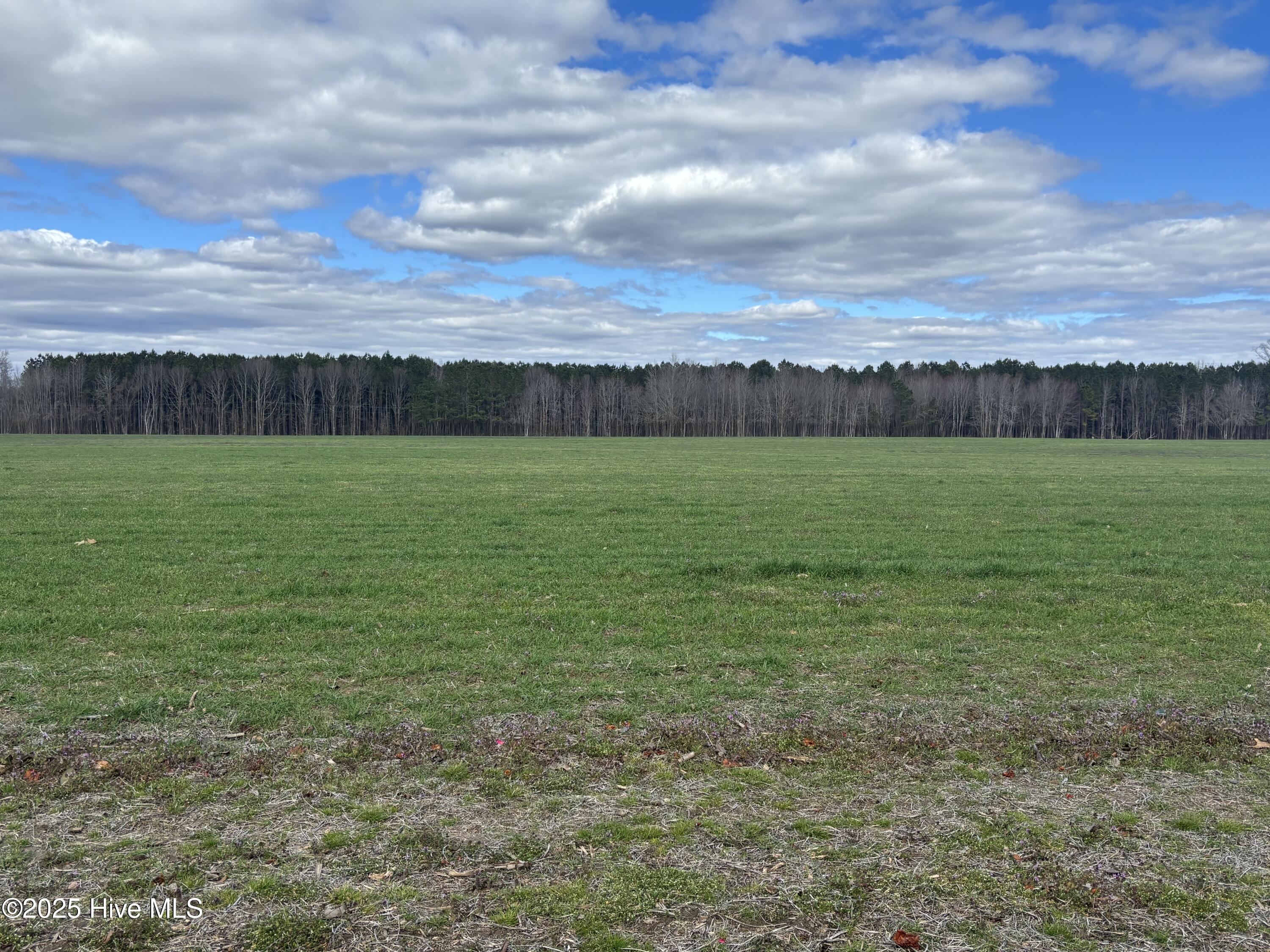 6815 Highway 32 Roper, NC 27970 - Photo 28 of 28 Backyard view