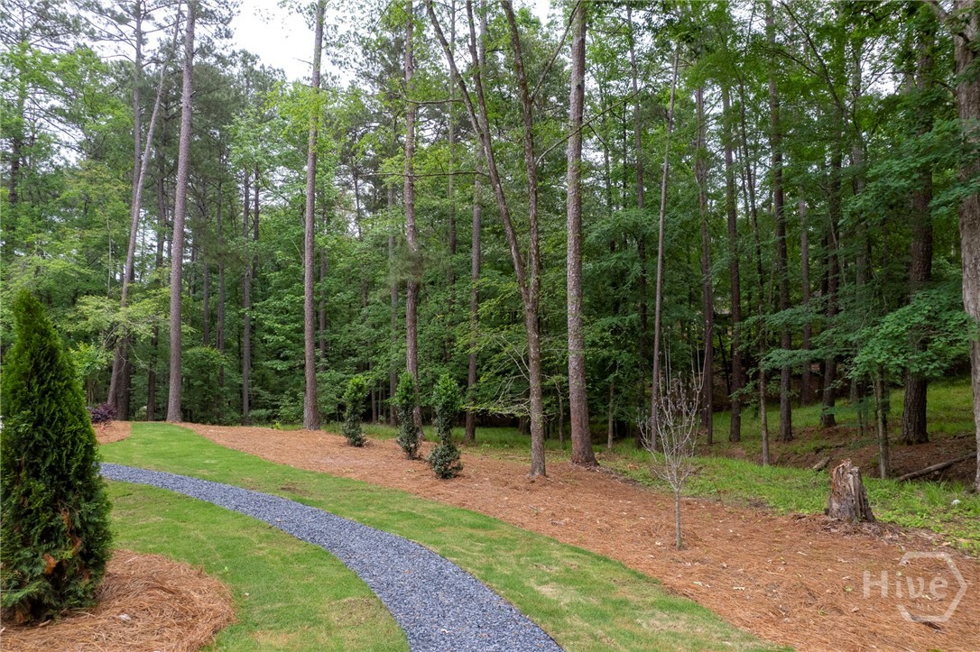 1040 Parrotts Cove Road Greensboro, GA 30642 - Photo 4 of 71