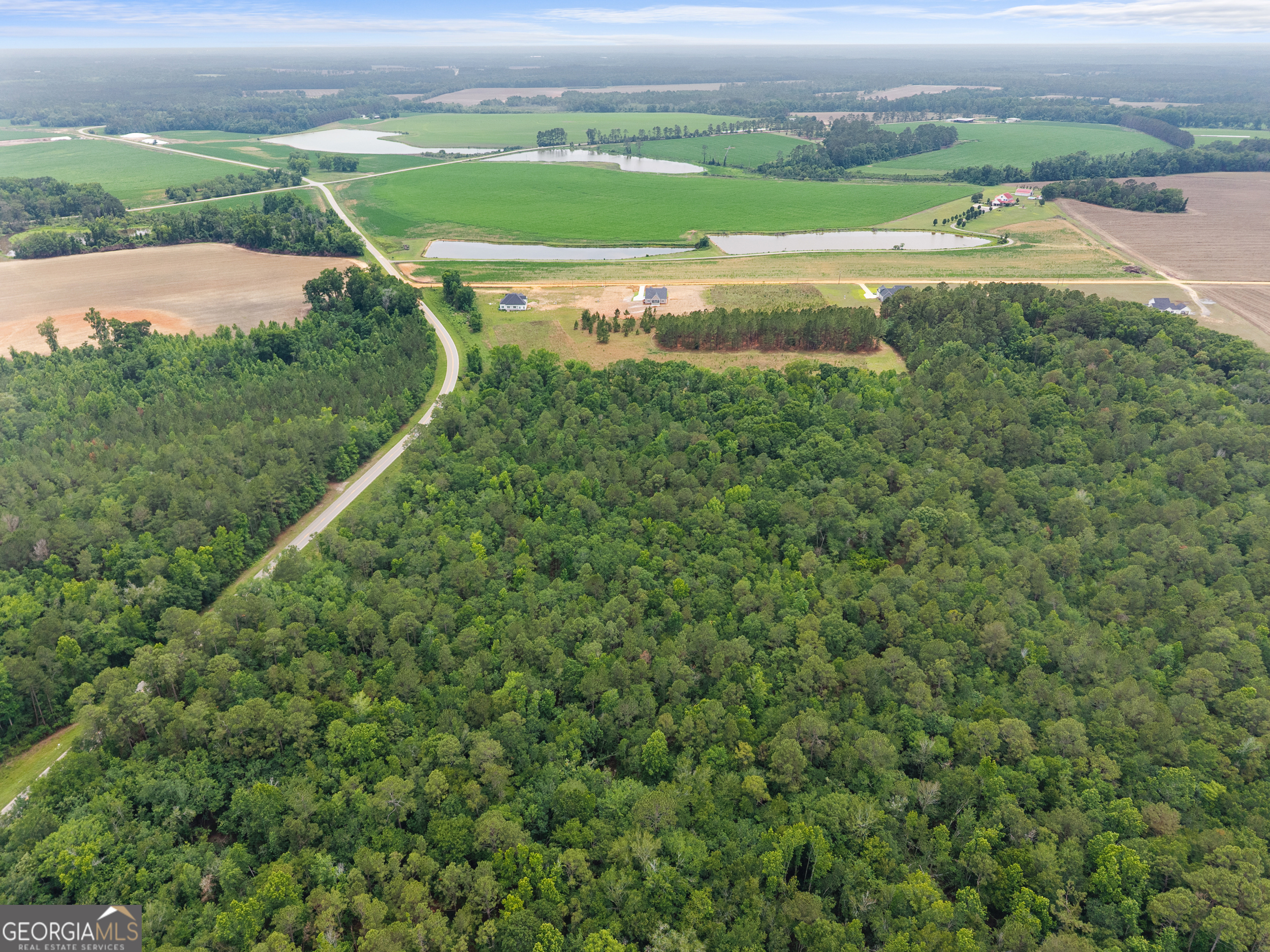 3167 Jason Franklin Road Register, GA 30452 - Photo 43 of 50