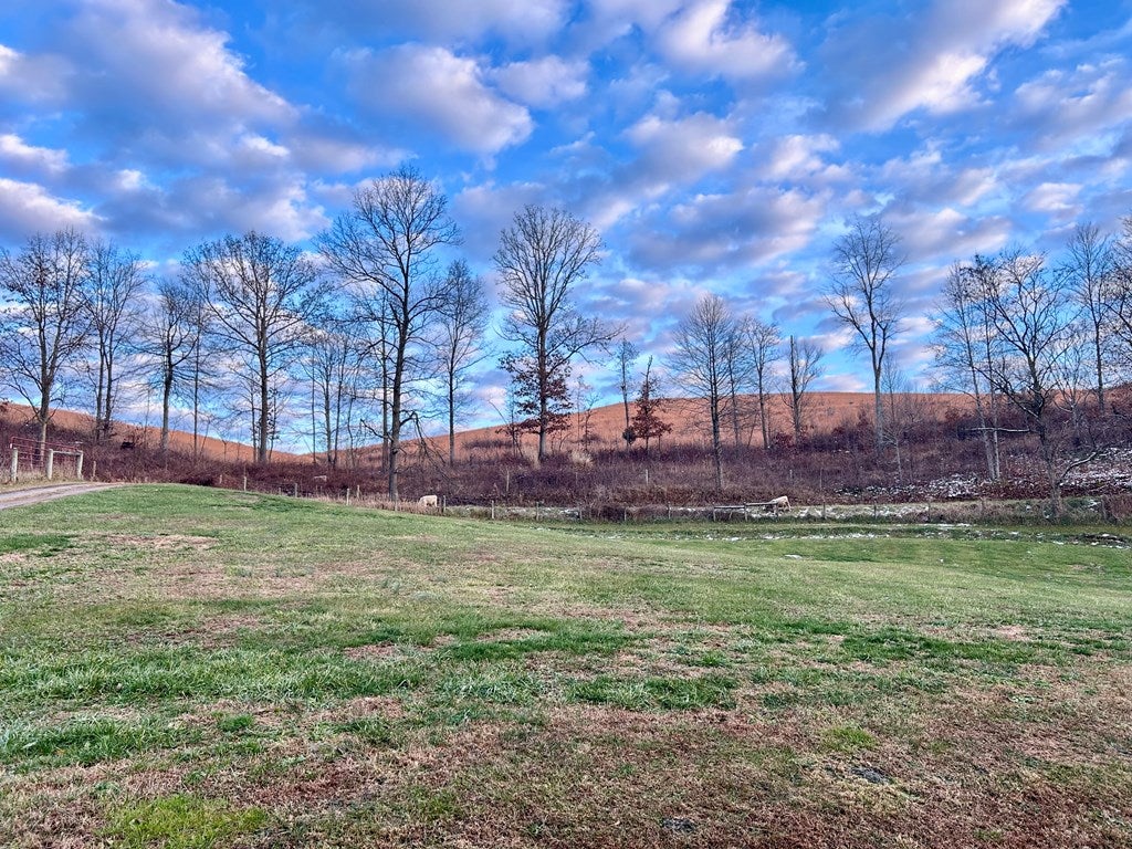 2091 Porter Hollow Road Castlewood, VA 24224 - Photo 6 of 27 Gallery Image 6
