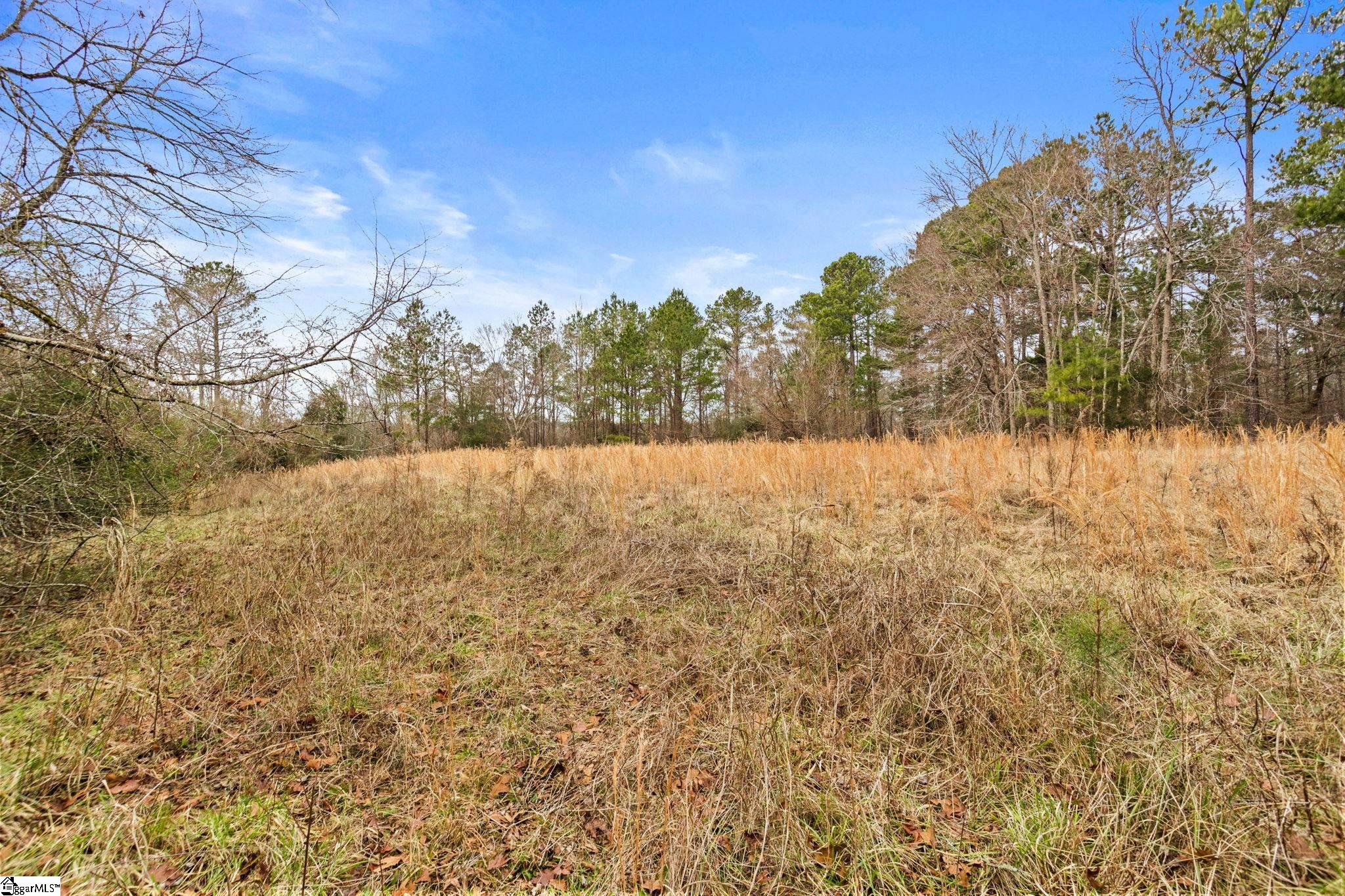 839 Duncan Creek Church Road Clinton, SC 29325 - Photo 43 of 50
