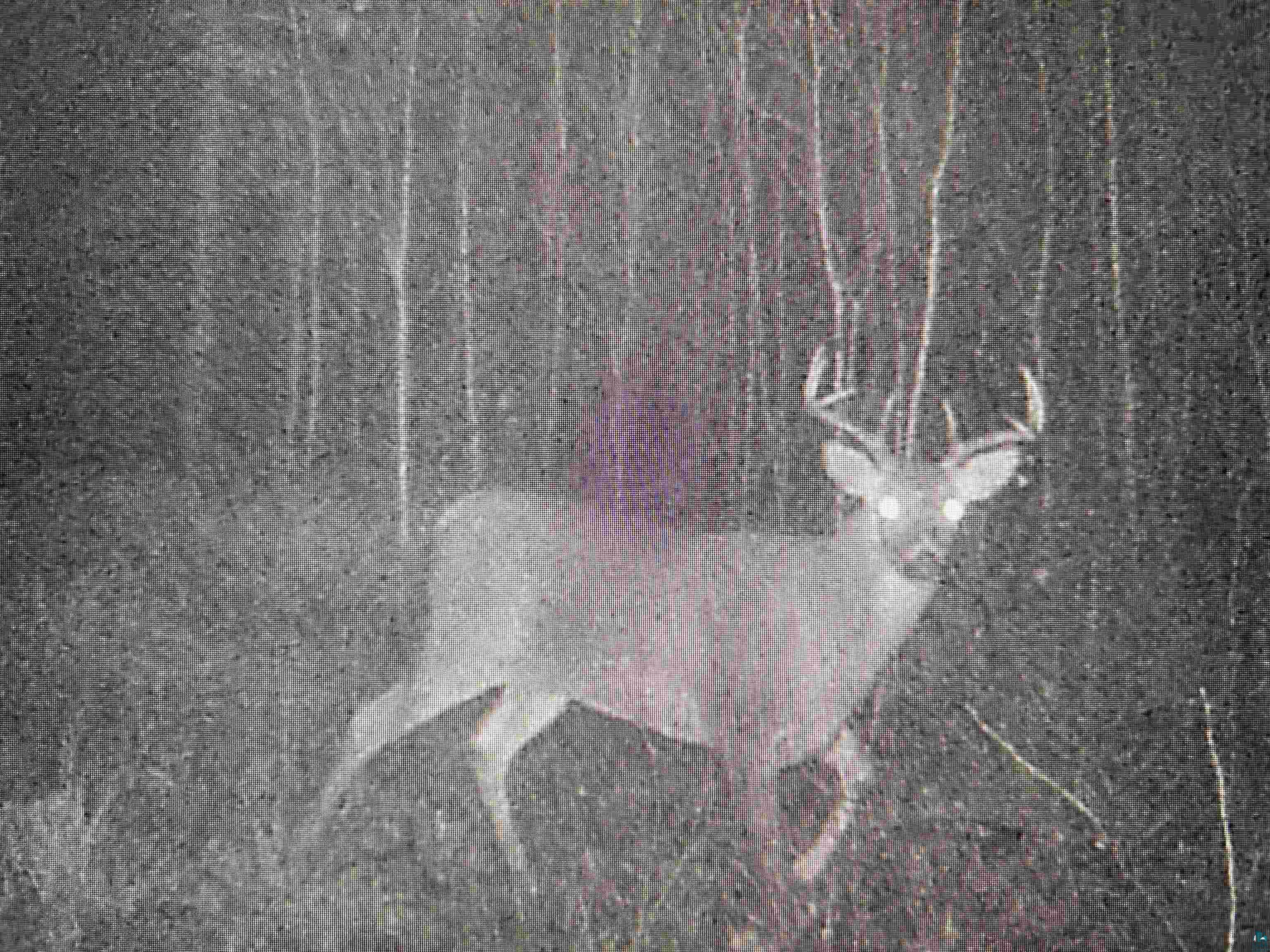 Xxx M T Nelson Road Mahtowa, MN 55707 - Photo 15 of 19