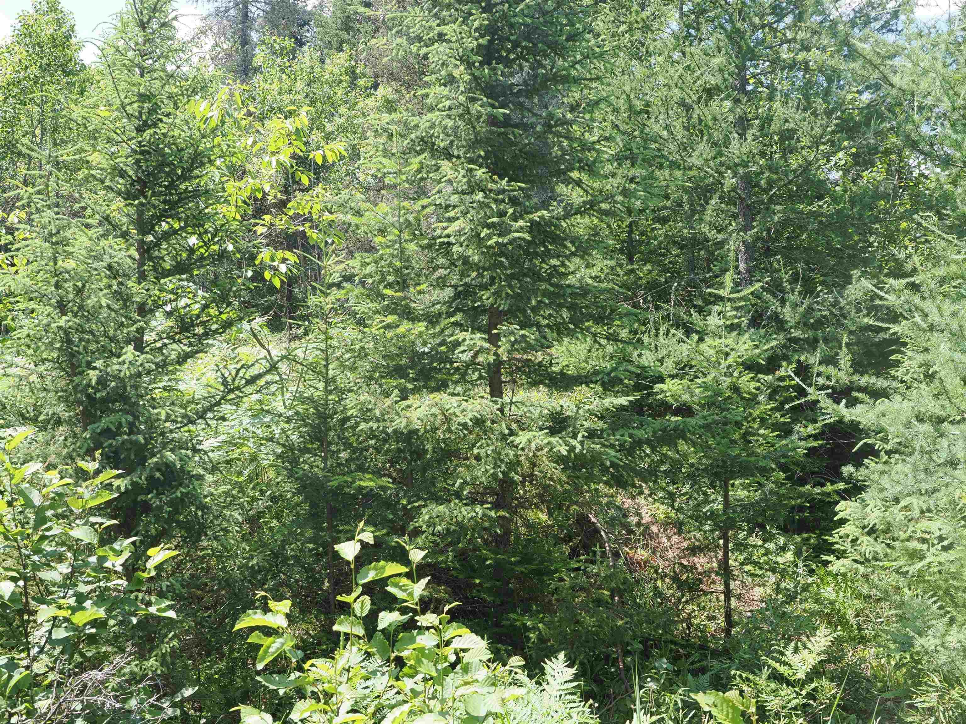 0 County Road Ishpeming, MI 49849 - Photo 23 of 85