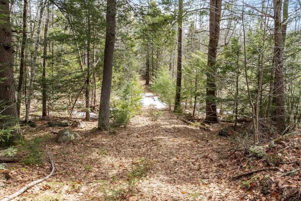 0 Mellen Road Winchendon, MA 01475 - Photo 2 of 6 a backyard of a house with lots of green space