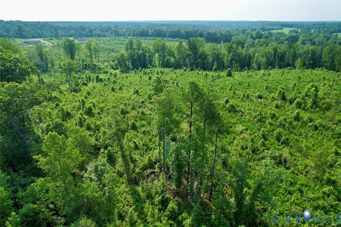5211 Indian Oak Road Crewe, VA 23930 - Photo 14 of 23 Expansive parcel featuring diverse tree coverage a