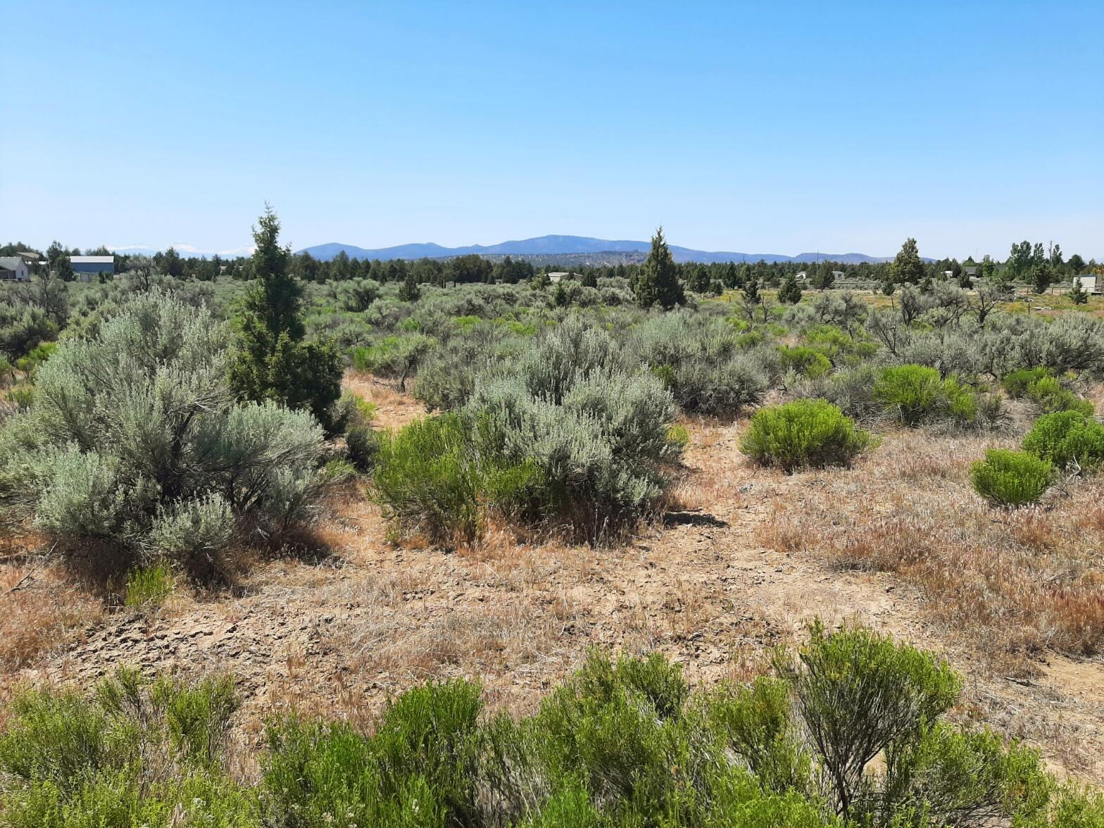 Southeast Snake Road Prineville, OR 97754 - Photo 3 of 11 3