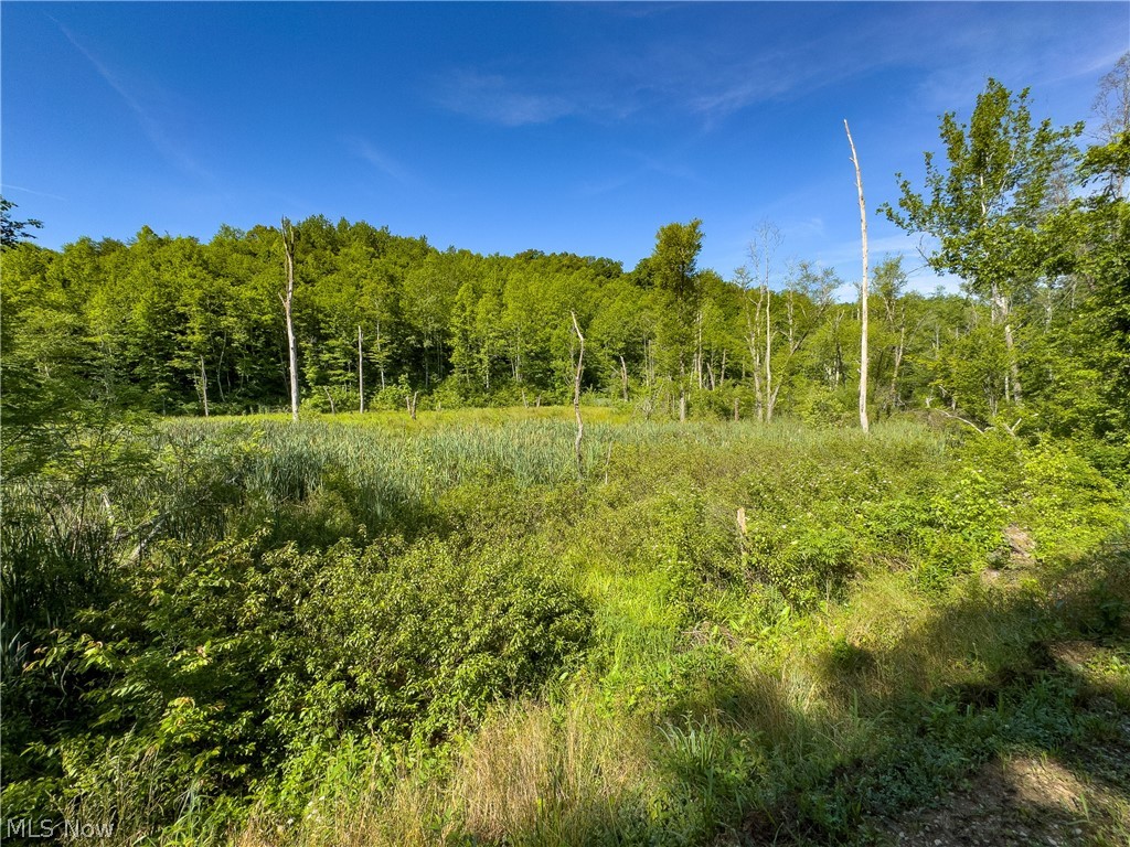 2 Jake Road Patriot, OH 45658 - Photo 5 of 20
