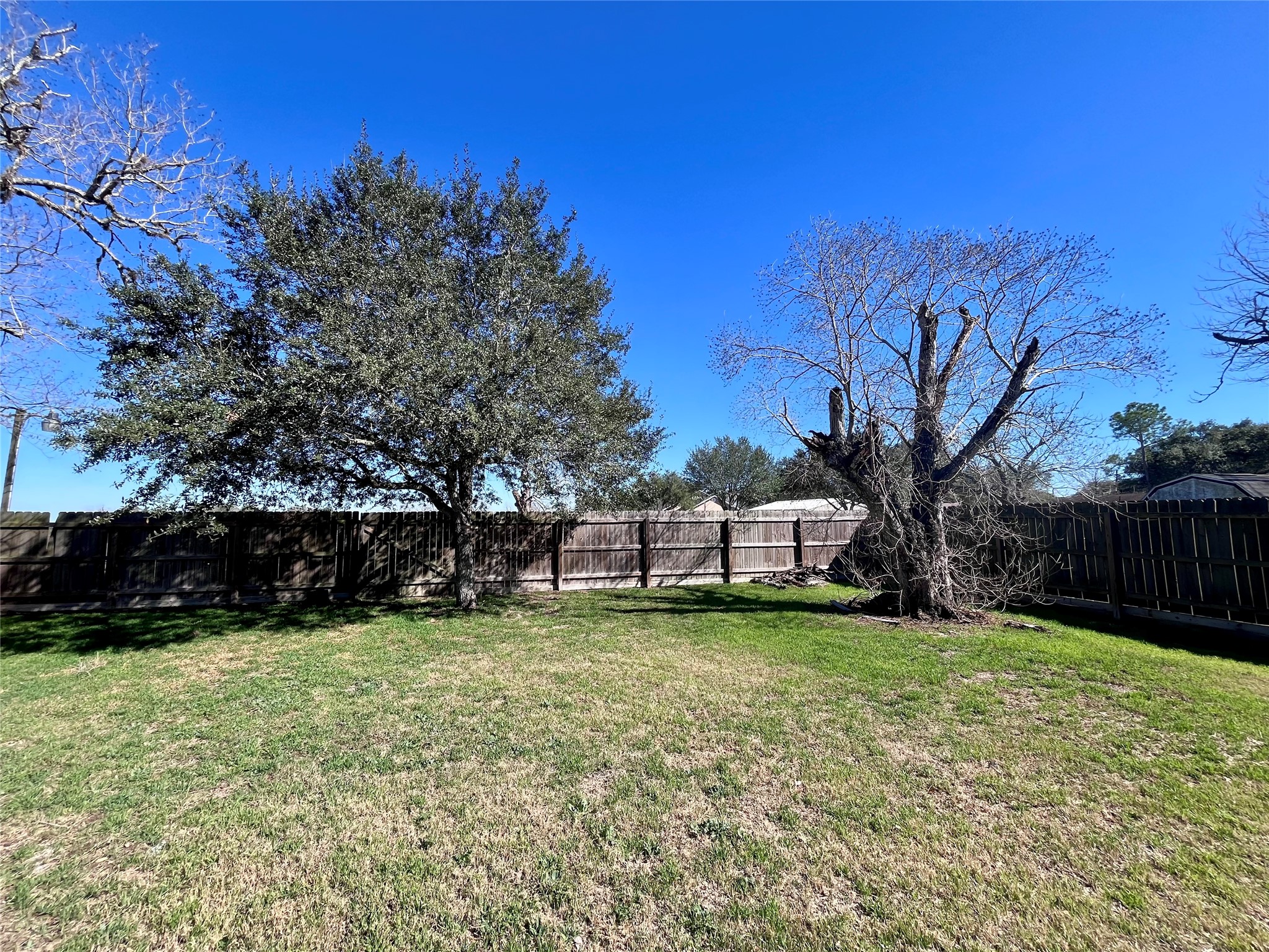 1004 North Center Street Weimar, TX 78962 - Photo 13 of 15 a view of a yard with plants and trees