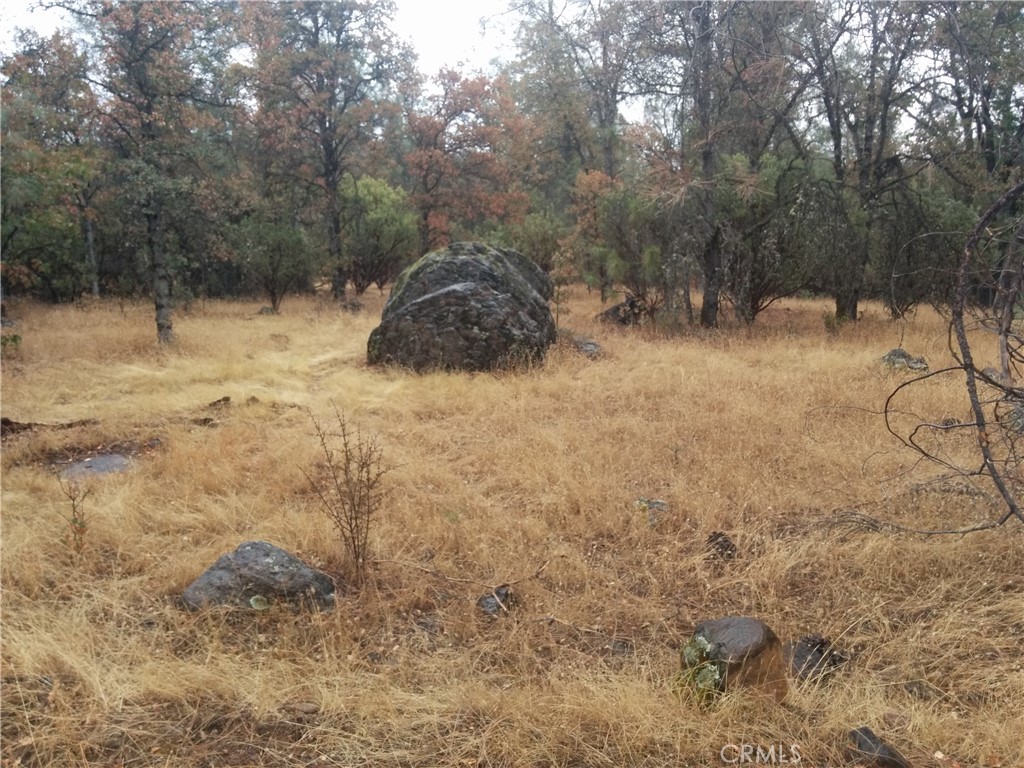 0 Donkey Mine Road Oak Run, CA 96069 - Photo 6 of 8 a backyard of a house