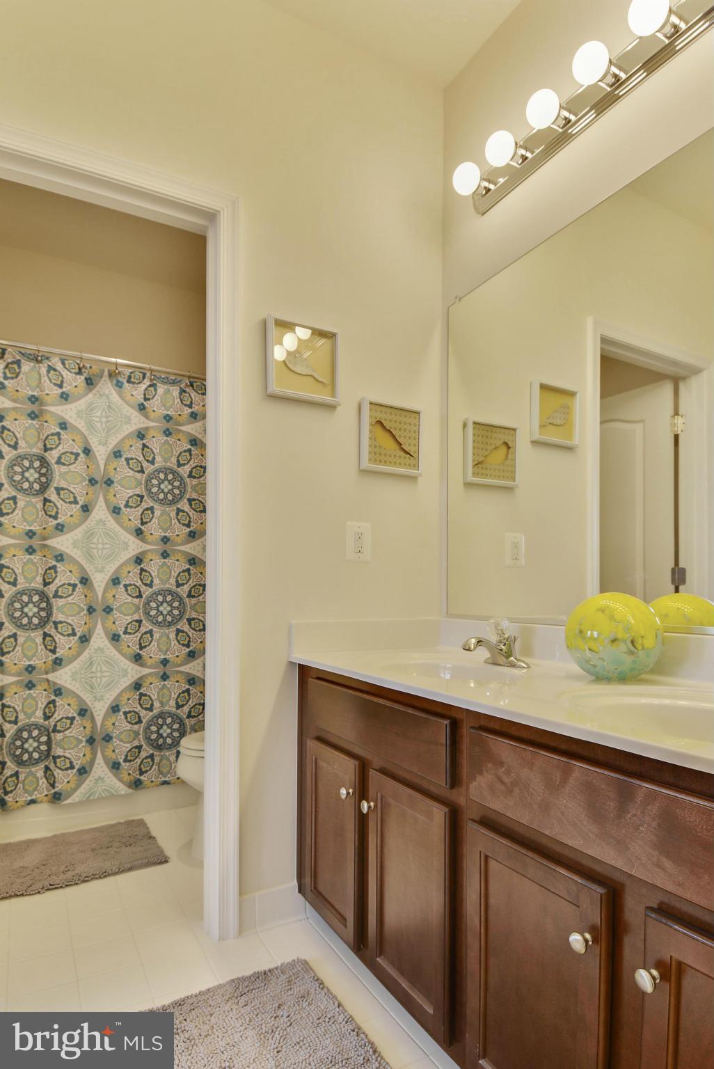 41841 Diabase Square Aldie, VA 20105 - Photo 25 of 30 Bath