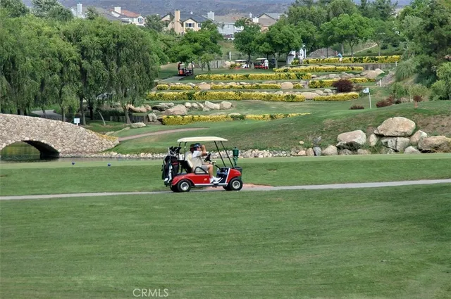 a view of a park with large trees