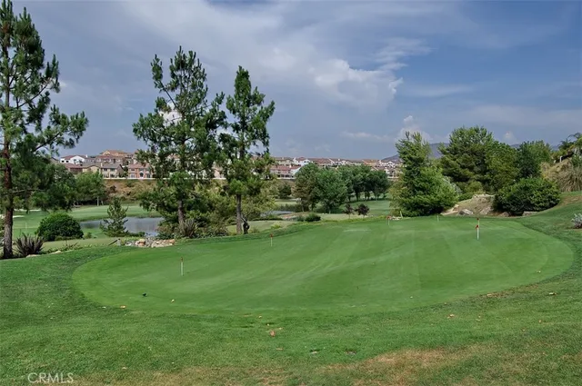 a view of a garden with trees
