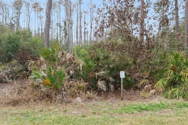 $405,000 | 12862 Langstaff Drive, Windermere, FL 34786