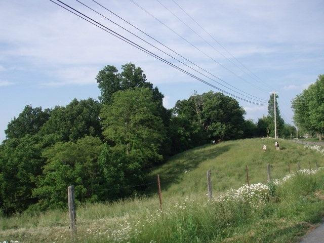1184 Upper Dry Fork Road McKee, KY 40447 - Photo 2 of 32 Photo 2
