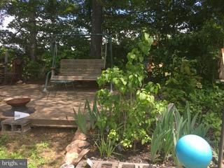 10503 Gordon Road Spotsylvania, VA 22553 - Photo 8 of 30 Time to Relax