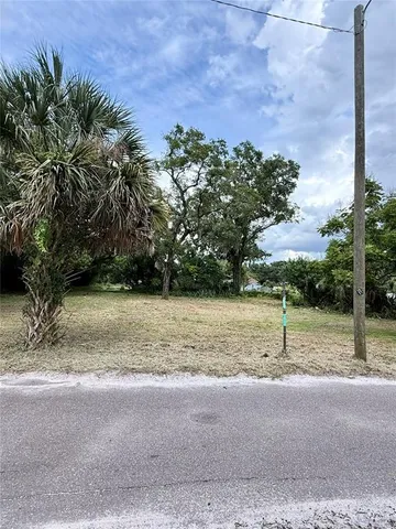 a view of a yard with palm tree