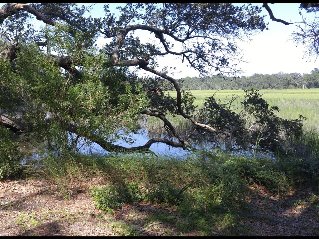 95722 Tyson Road Fernandina Beach, FL 32034 - Photo 4 of 4 Gallery Image 4
