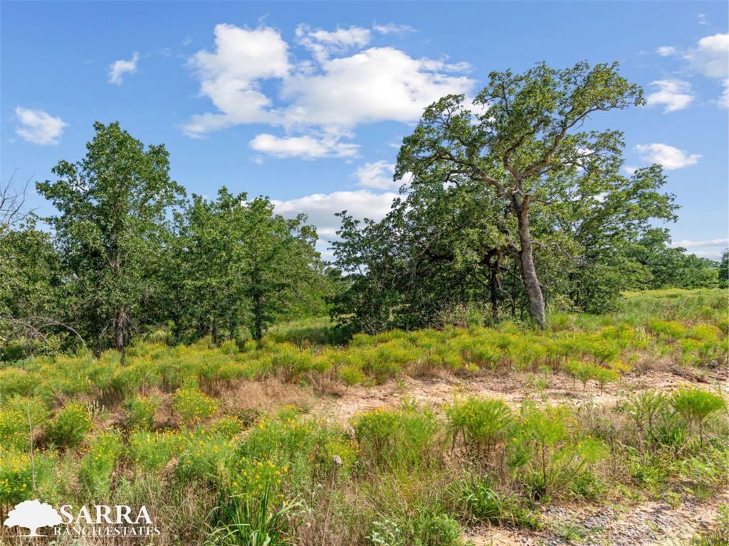 Lot 32 Galway Road Poolville, TX 76487 - Photo 6 of 18