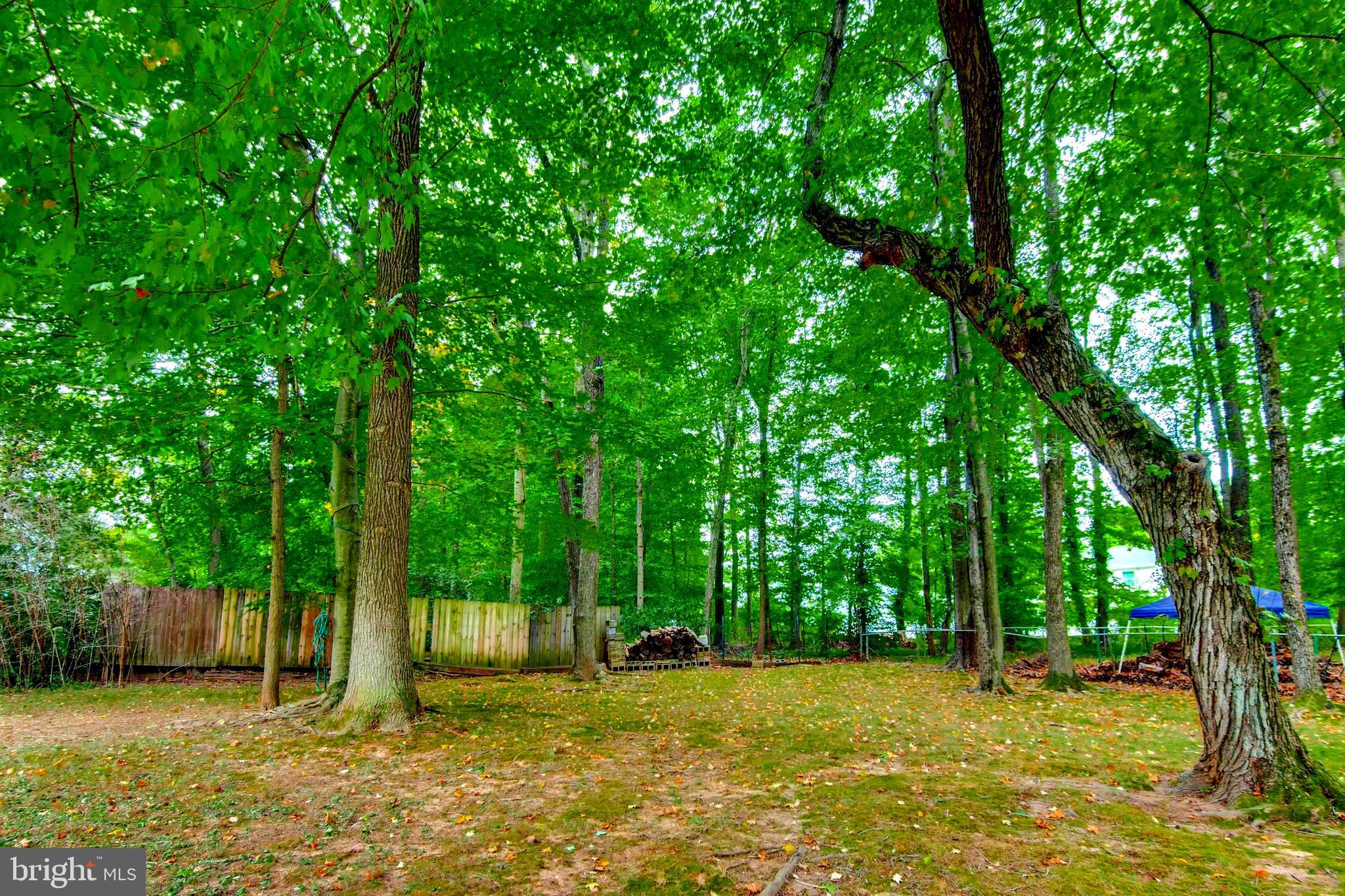 12600 Ivory Pass Laurel, MD 20708 - Photo 31 of 31 Large backyard for outdoor entertaining
