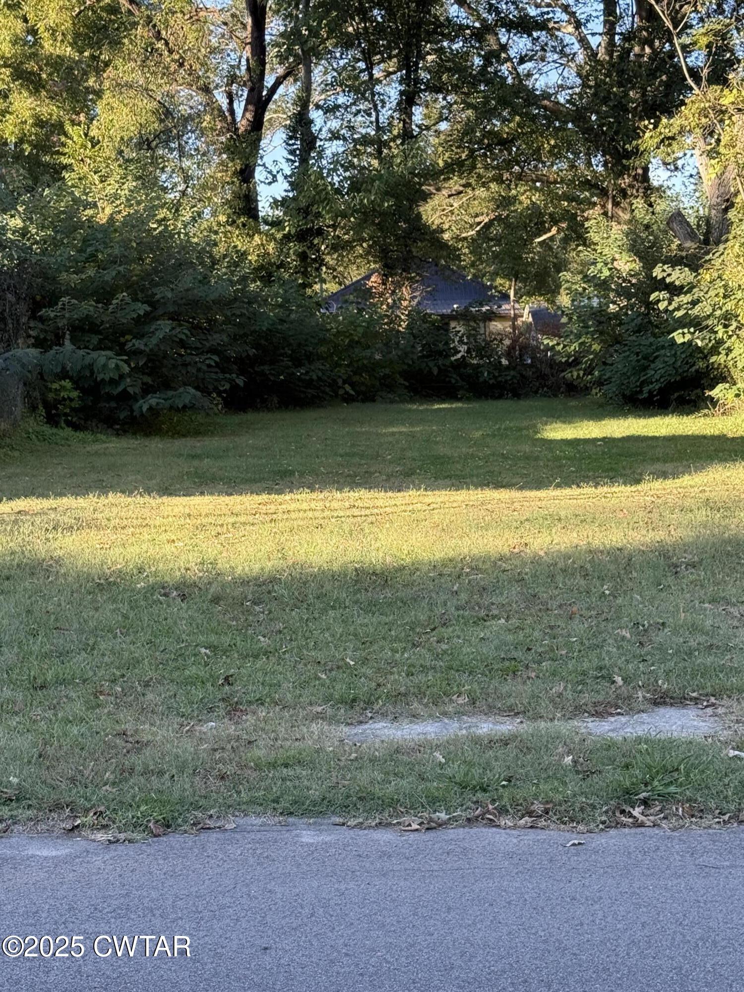 337 Linden Street Jackson, TN 38301 - Photo 2 of 4 a view of outdoor space and yard