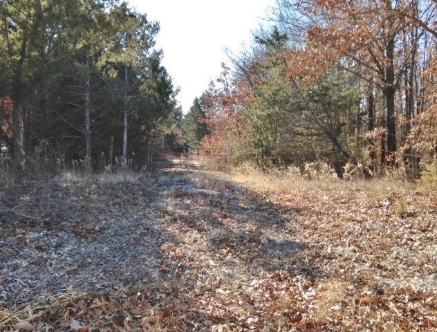 354 County Road Fulton, MO 65251 - Photo 4 of 21