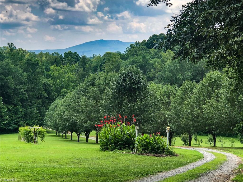 1127 Wood Stack Trail Road Westfield, NC 27053 - Photo 20 of 30 Driveway entrance and a gorgeous mountain view. The front yard is lined with bradford pear trees, has grape vines, many fruit trees, berry bushes and a perennial garden.