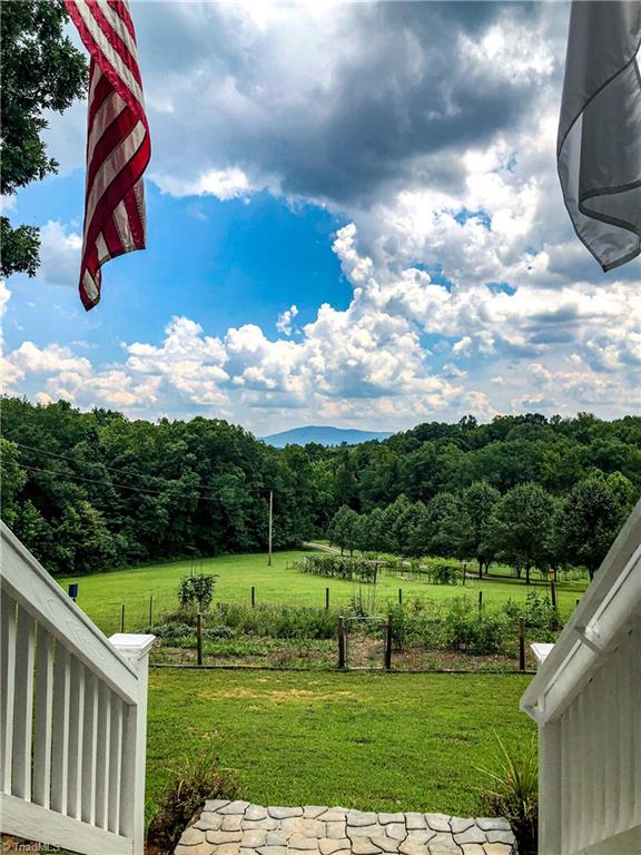 1127 Wood Stack Trail Road Westfield, NC 27053 - Photo 21 of 30 Gorgeous and peaceful Front yard view from the front porch.