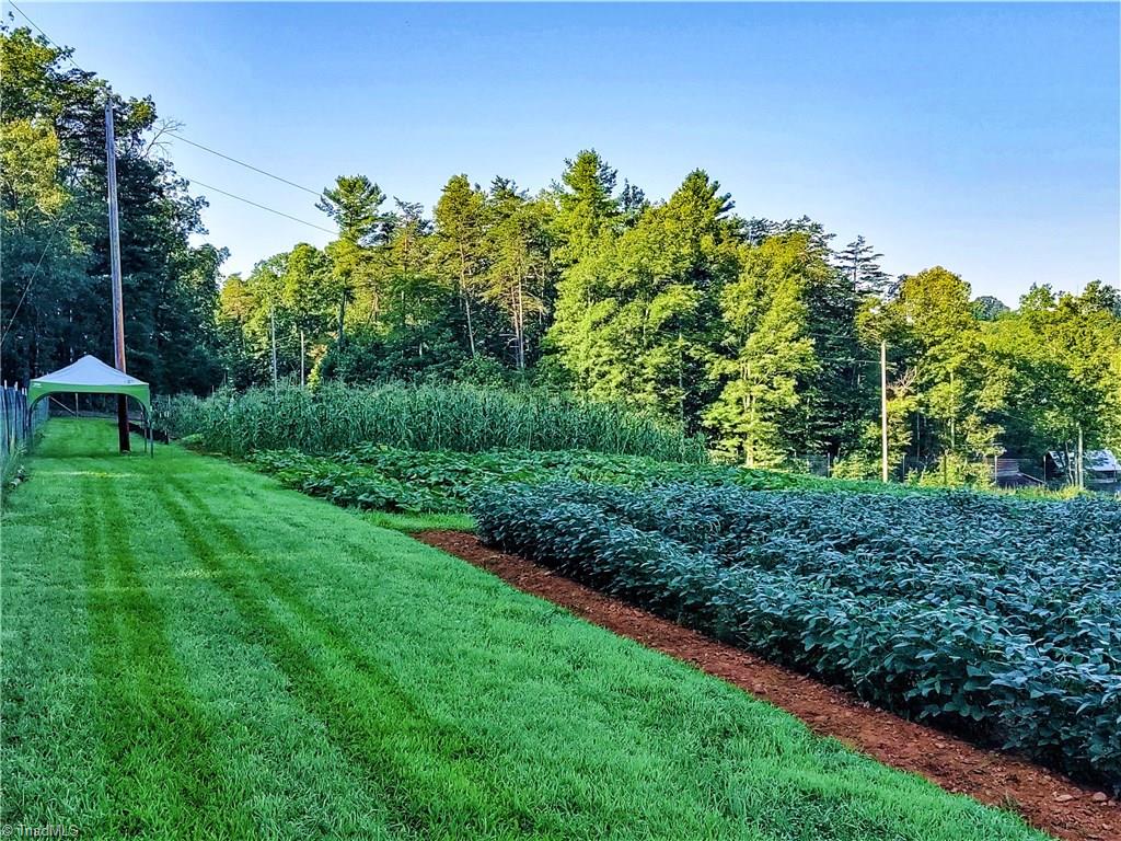 1127 Wood Stack Trail Road Westfield, NC 27053 - Photo 23 of 30 Fenced in lush organic gardens.