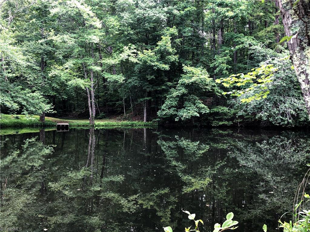 1127 Wood Stack Trail Road Westfield, NC 27053 - Photo 26 of 30 View of the spring fed pond and a small pier located on the back side of the property.