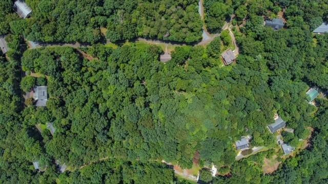 130 Talon Way Canton, GA 30115 - Photo 2 of 7 a view of a lush green forest with lawn chairs