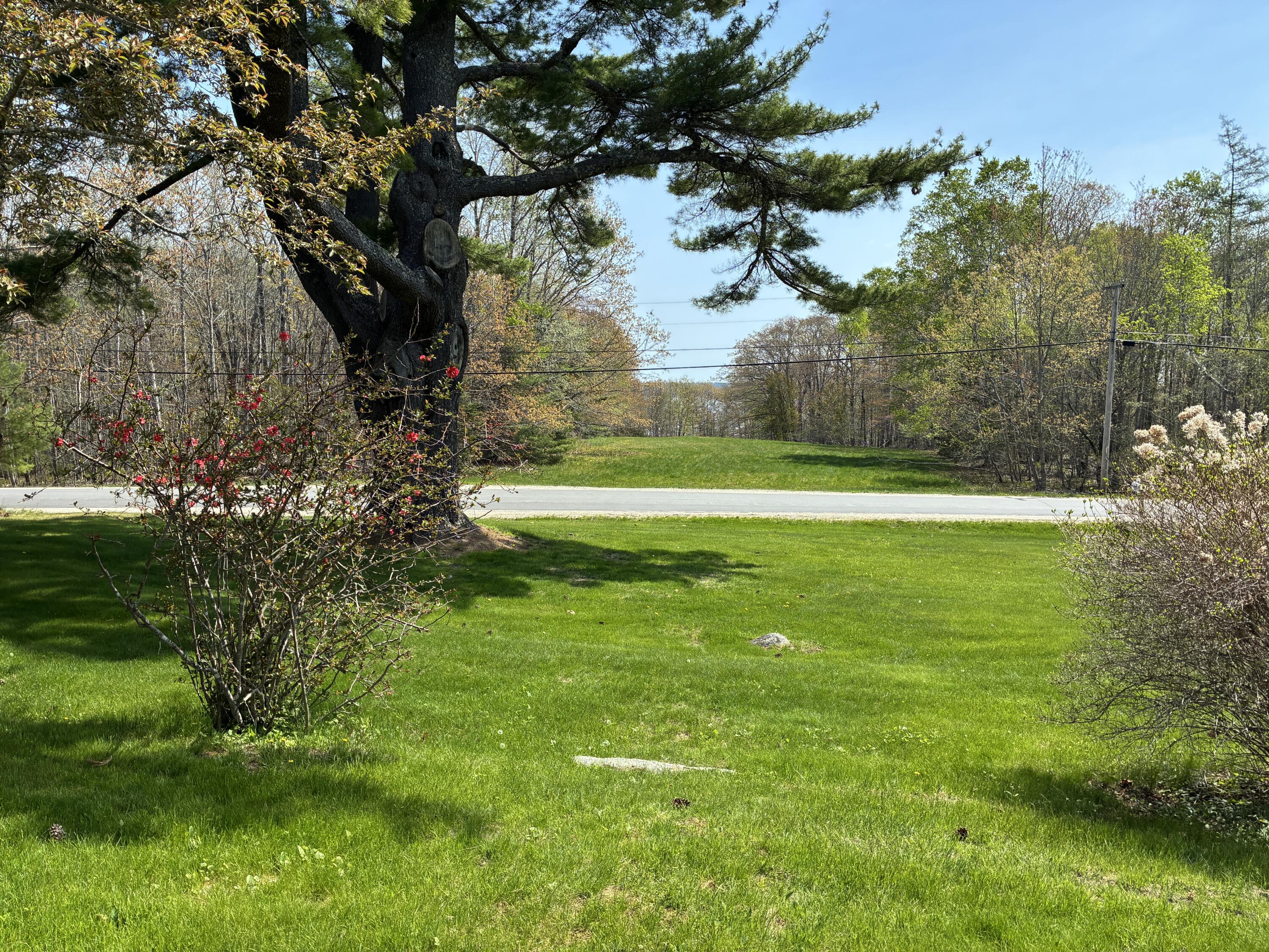 707 Newbury Neck Road Surry, ME 04684 - Photo 27 of 40 Field across road w/seasonal views.