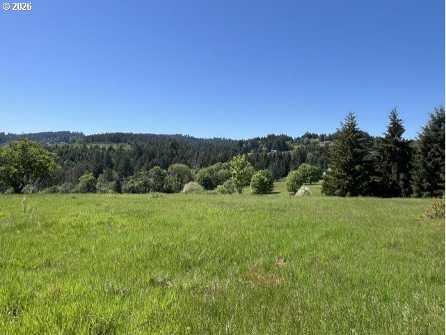 32784 Southwest Laurelview Road Hillsboro, OR 97123 - Photo 22 of 43